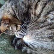 ヒメ日記 2025/12/05 11:02 投稿 みかん 熟女家 十三店