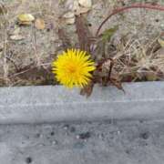 ヒメ日記 2026/01/30 13:44 投稿 みかん 熟女家 十三店