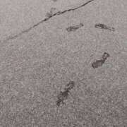 ヒメ日記 2026/02/09 11:01 投稿 みかん 熟女家 十三店