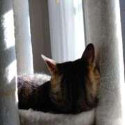 ヒメ日記 2026/02/27 14:01 投稿 みかん 熟女家 十三店