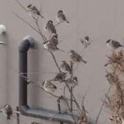 ヒメ日記 2026/03/04 10:58 投稿 みかん 熟女家 十三店