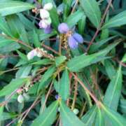 ヒメ日記 2026/03/07 14:01 投稿 みかん 熟女家 十三店