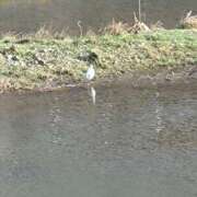 ヒメ日記 2026/03/14 14:01 投稿 みかん 熟女家 十三店