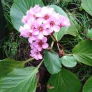 ヒメ日記 2026/03/25 14:01 投稿 みかん 熟女家 十三店