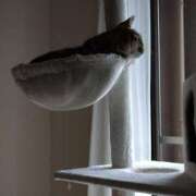 ヒメ日記 2026/03/29 14:01 投稿 みかん 熟女家 十三店