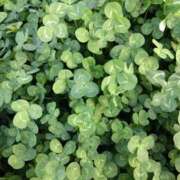 ヒメ日記 2026/04/05 14:02 投稿 みかん 熟女家 十三店