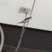 ヒメ日記 2026/04/06 14:01 投稿 みかん 熟女家 十三店