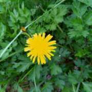 ヒメ日記 2026/04/16 14:01 投稿 みかん 熟女家 十三店