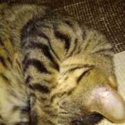 ヒメ日記 2026/04/22 14:01 投稿 みかん 熟女家 十三店