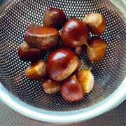 ヒメ日記 2025/11/16 14:45 投稿 ひびき 横浜 風俗 妻がオンナに変わるとき