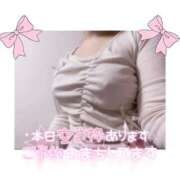 ヒメ日記 2025/11/12 23:58 投稿 ふうか 白いぽっちゃりさん仙台店