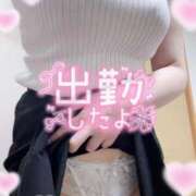 ヒメ日記 2025/11/14 11:18 投稿 ふうか 白いぽっちゃりさん仙台店