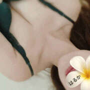 ヒメ日記 2025/10/17 10:00 投稿 はるか 新大阪秘密倶楽部