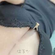 ヒメ日記 2025/10/31 12:30 投稿 はるか 新大阪秘密倶楽部