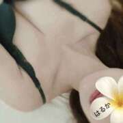 ヒメ日記 2025/11/07 09:45 投稿 はるか 新大阪秘密倶楽部