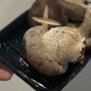 ヒメ日記 2026/01/23 22:15 投稿 はるか 新大阪秘密倶楽部