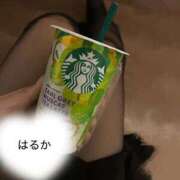 ヒメ日記 2026/06/14 10:40 投稿 はるか 新大阪秘密倶楽部
