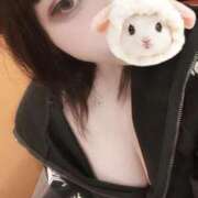 ヒメ日記 2025/12/12 08:20 投稿 ルル いたずらバニーちゃん