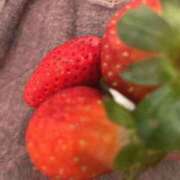 ヒメ日記 2025/12/13 07:20 投稿 ルル いたずらバニーちゃん