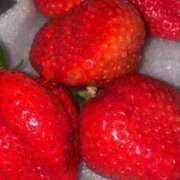 ルル 日曜日！ いたずらバニーちゃん