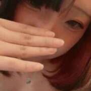 ヒメ日記 2026/03/20 08:20 投稿 ルル いたずらバニーちゃん