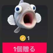 ヒメ日記 2026/09/18 17:20 投稿 ルル いたずらバニーちゃん
