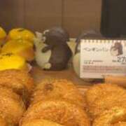 ヒメ日記 2025/10/14 15:54 投稿 白銀咲羽 札幌ソフィア