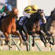 ヒメ日記 2025/12/01 18:33 投稿 白銀咲羽 札幌ソフィア