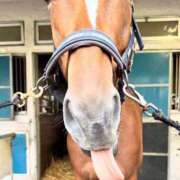 ヒメ日記 2025/12/14 12:34 投稿 白銀咲羽 札幌ソフィア