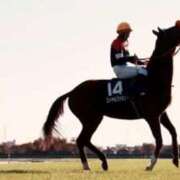 ヒメ日記 2025/12/15 15:13 投稿 白銀咲羽 札幌ソフィア