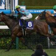 ヒメ日記 2025/12/21 18:19 投稿 白銀咲羽 札幌ソフィア