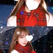 ヒメ日記 2025/12/24 17:34 投稿 白銀咲羽 札幌ソフィア