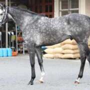 ヒメ日記 2025/12/27 23:04 投稿 白銀咲羽 札幌ソフィア