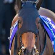 ヒメ日記 2025/12/29 19:33 投稿 白銀咲羽 札幌ソフィア