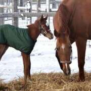 ヒメ日記 2026/01/19 15:12 投稿 白銀咲羽 札幌ソフィア
