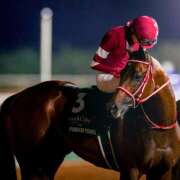 ヒメ日記 2026/02/16 14:33 投稿 白銀咲羽 札幌ソフィア