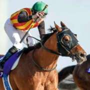 ヒメ日記 2026/02/23 17:19 投稿 白銀咲羽 札幌ソフィア