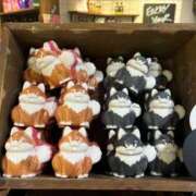 ヒメ日記 2026/03/13 13:33 投稿 白銀咲羽 札幌ソフィア