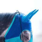 ヒメ日記 2026/03/24 22:03 投稿 白銀咲羽 札幌ソフィア