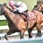 ヒメ日記 2026/03/28 18:57 投稿 白銀咲羽 札幌ソフィア