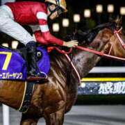 ヒメ日記 2026/03/29 02:48 投稿 白銀咲羽 札幌ソフィア