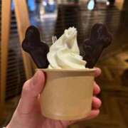 ヒメ日記 2026/04/02 22:19 投稿 白銀咲羽 札幌ソフィア