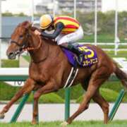 ヒメ日記 2026/04/12 18:03 投稿 白銀咲羽 札幌ソフィア