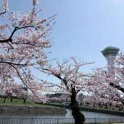 ヒメ日記 2026/04/21 18:42 投稿 白銀咲羽 札幌ソフィア