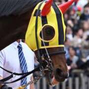 ヒメ日記 2026/05/05 18:19 投稿 白銀咲羽 札幌ソフィア