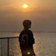 ヒメ日記 2025/11/16 14:17 投稿 せな メイドde本舗