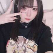 ヒメ日記 2025/09/09 20:27 投稿 ラテ きらめけ！にゃんにゃん学園in大宮