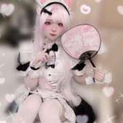 ヒメ日記 2025/09/12 18:43 投稿 ラテ きらめけ！にゃんにゃん学園in大宮