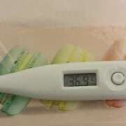 ヒメ日記 2025/11/12 21:24 投稿 相沢　もが つくば風俗エキスプレス   ヌキ坂46