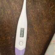 ヒメ日記 2025/11/13 20:15 投稿 相沢　もが つくば風俗エキスプレス   ヌキ坂46